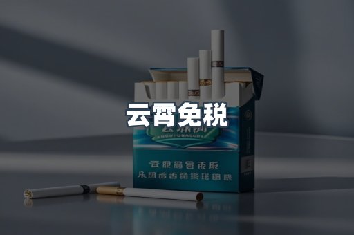 云霄免税